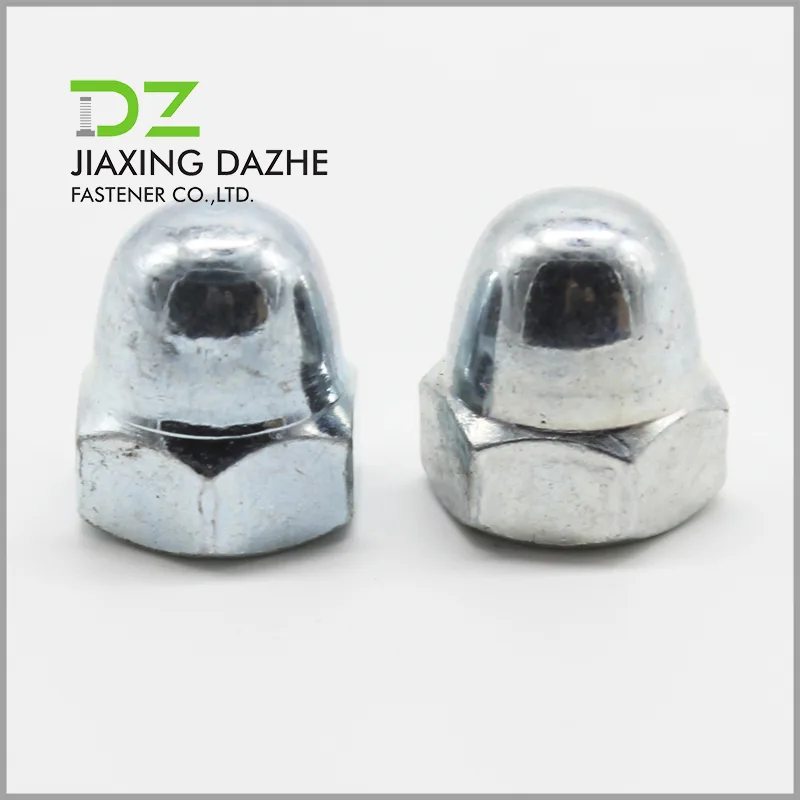 Stainless Steel Cap Nut